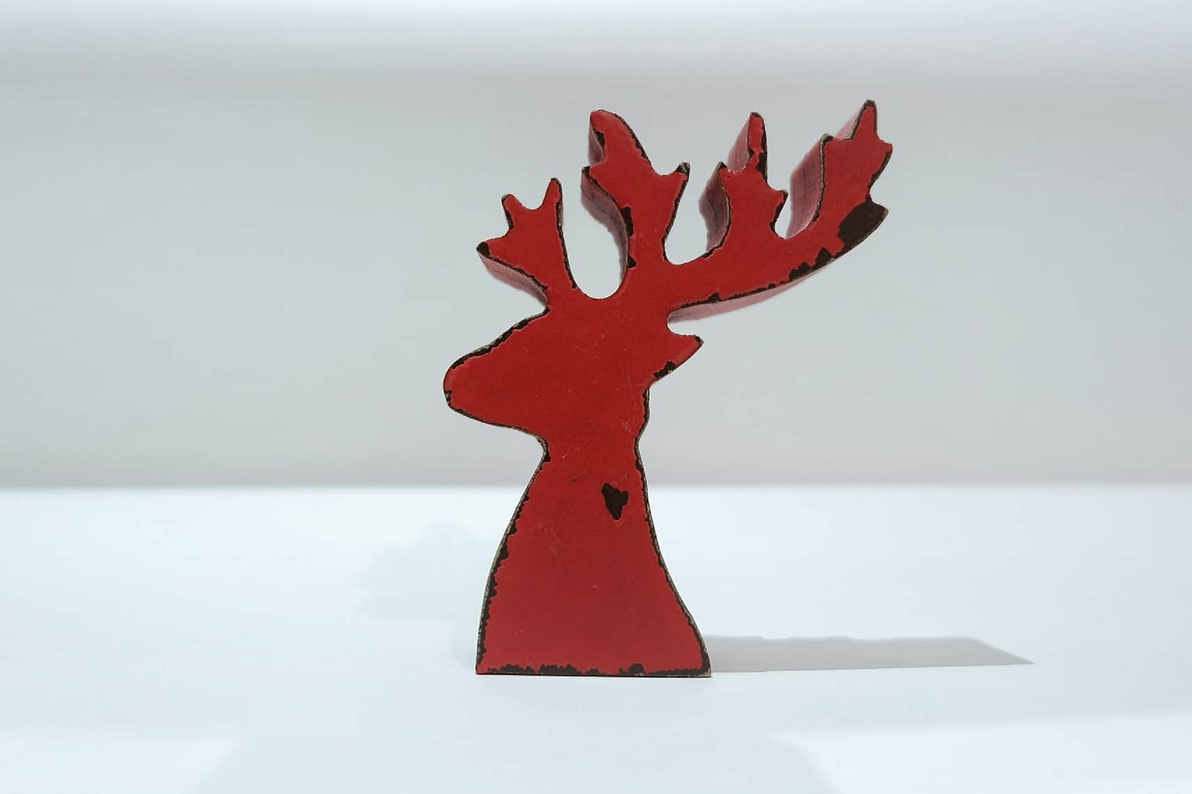 2020_1217_19495300-01