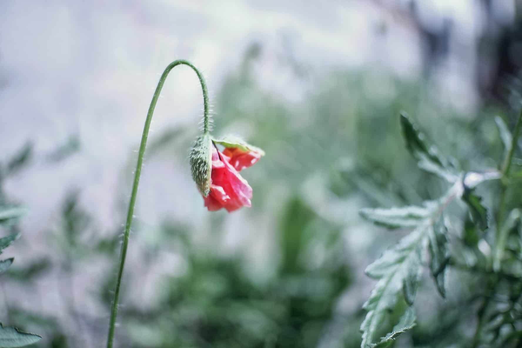 2021_0420_16064000-02