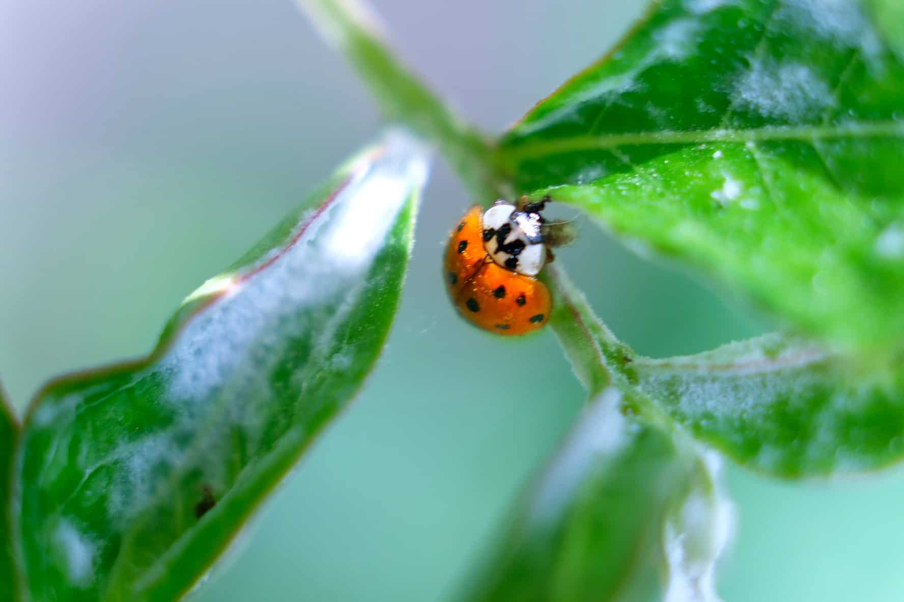 2021_0505_16234100-01