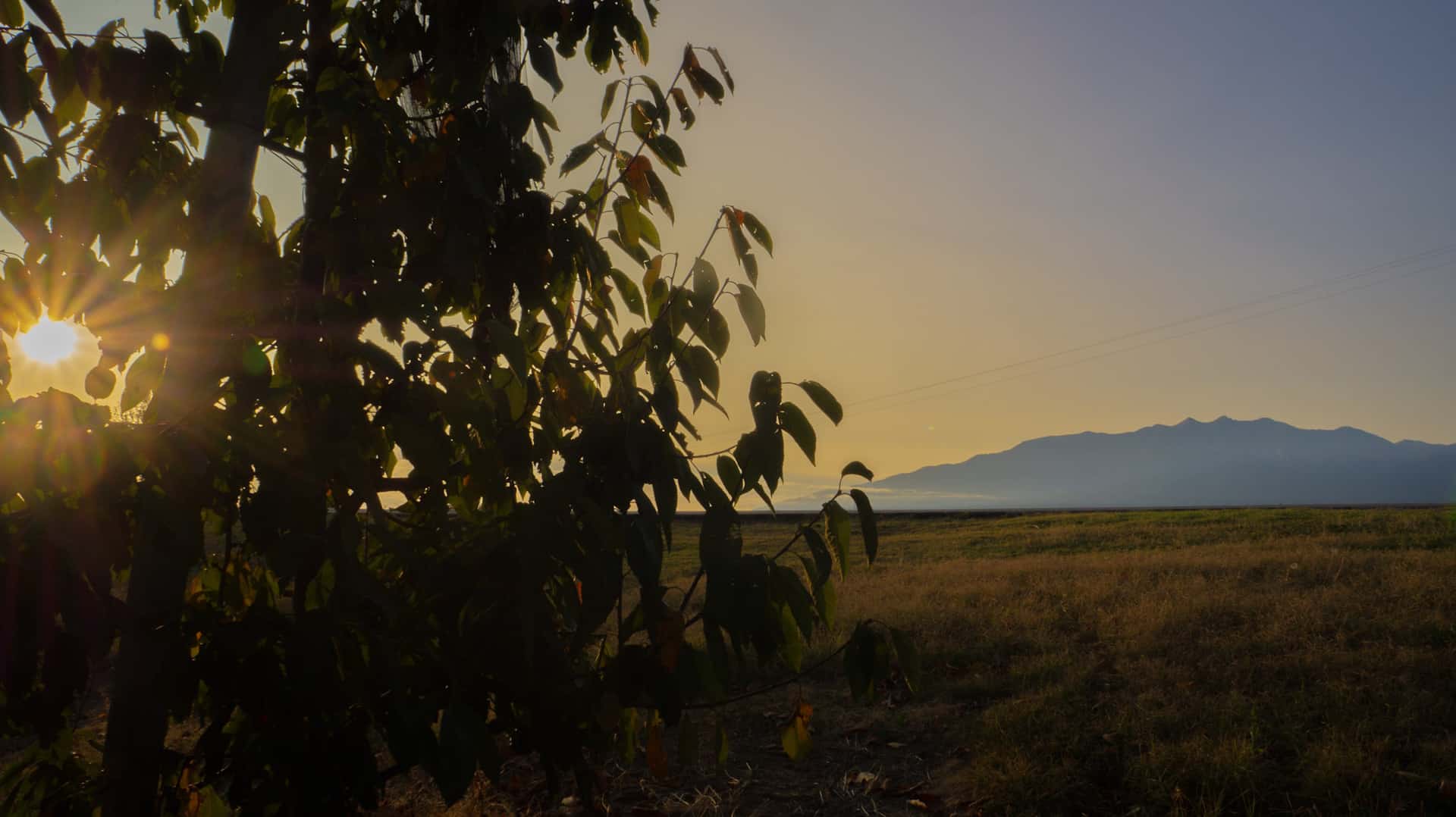 b406c8683cf4925e5823e556e3aaf416