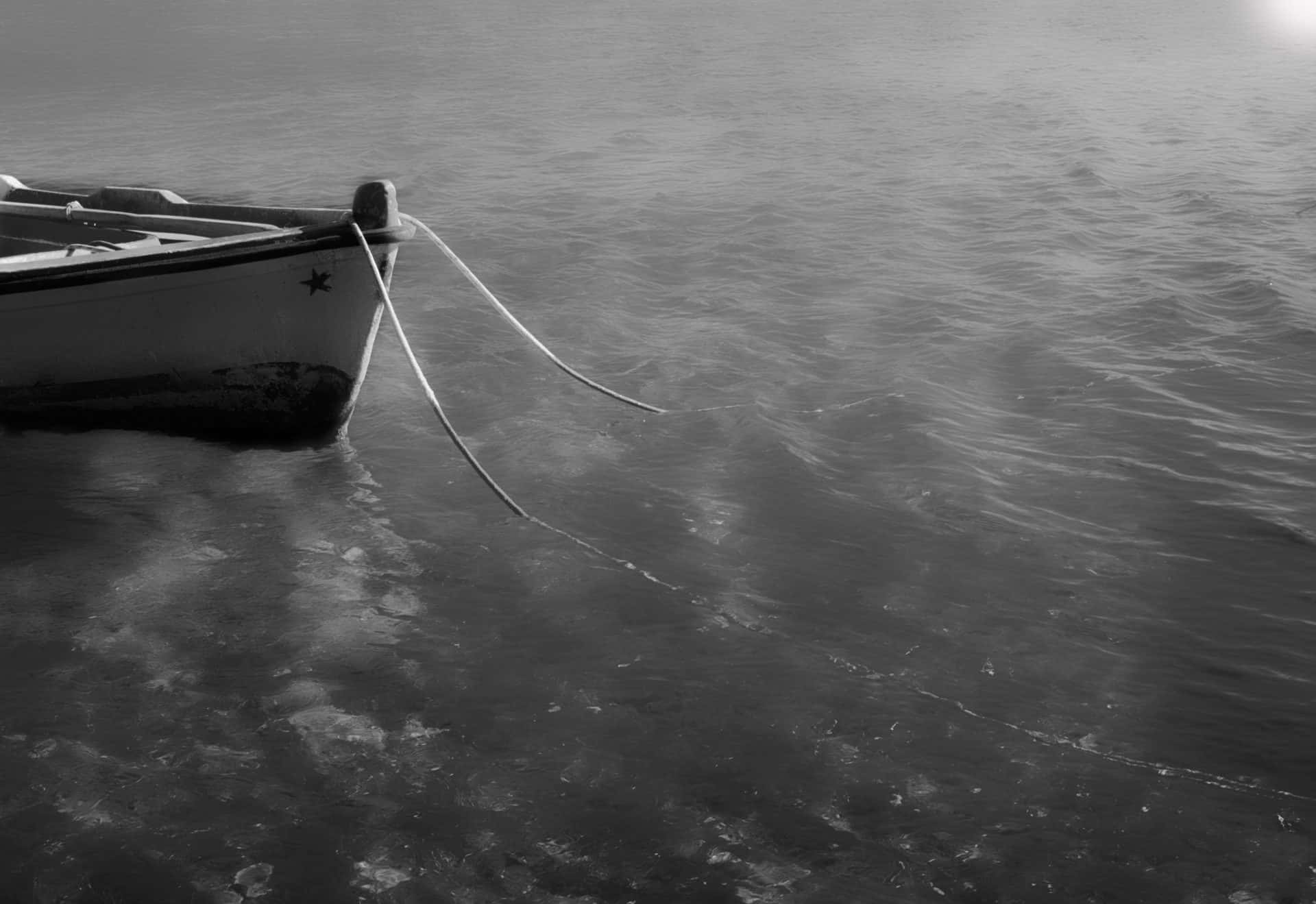 _DSC1372-(3)-Recovered