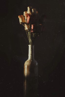 the-weekly-project (6 of 6)