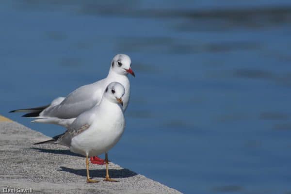sin título (2 de 7)