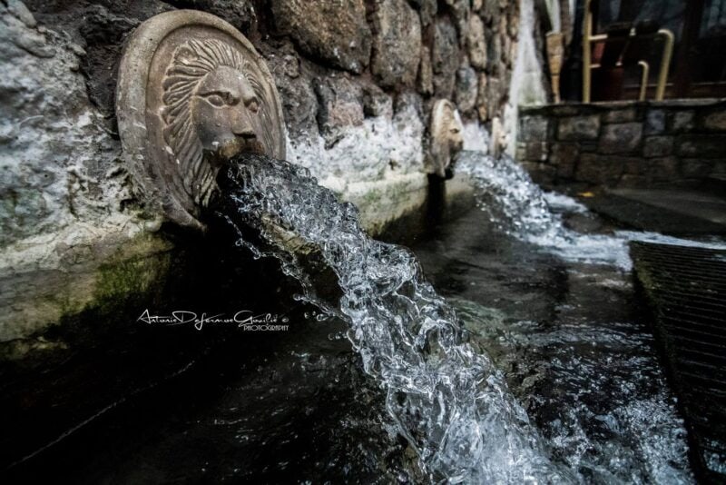 81762601_2950902404954944_7612335675345469440_n