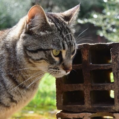 IMG_20210307_133057_869