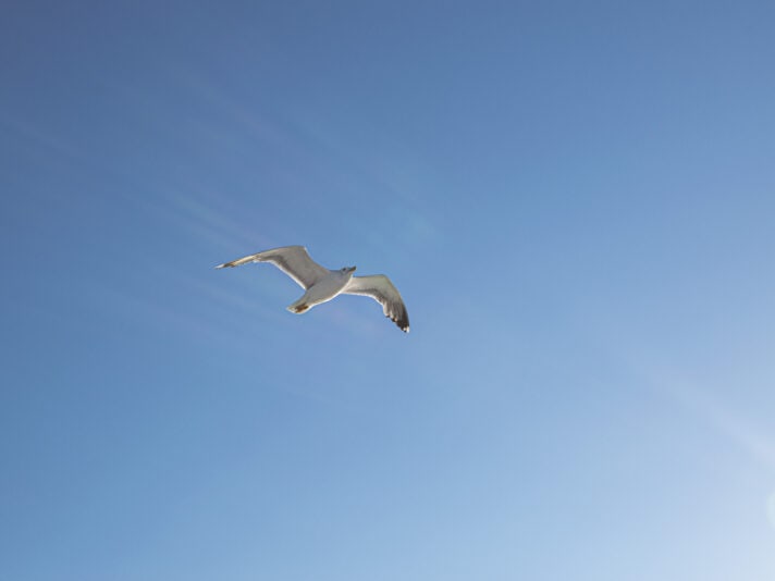 Michopoulou Aggeliki 03