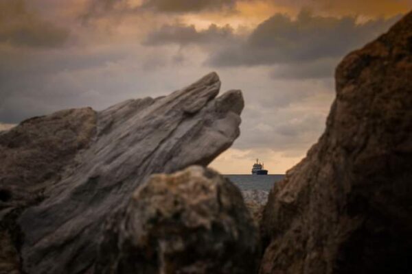 FB_IMG_1639215355049