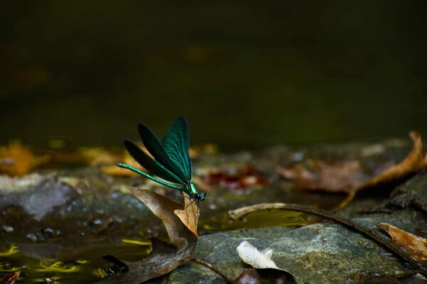 FB_IMG_1643564867944