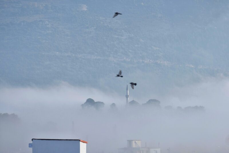 2021_1109_10270500-01