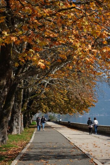 2021_1109_10283200-01