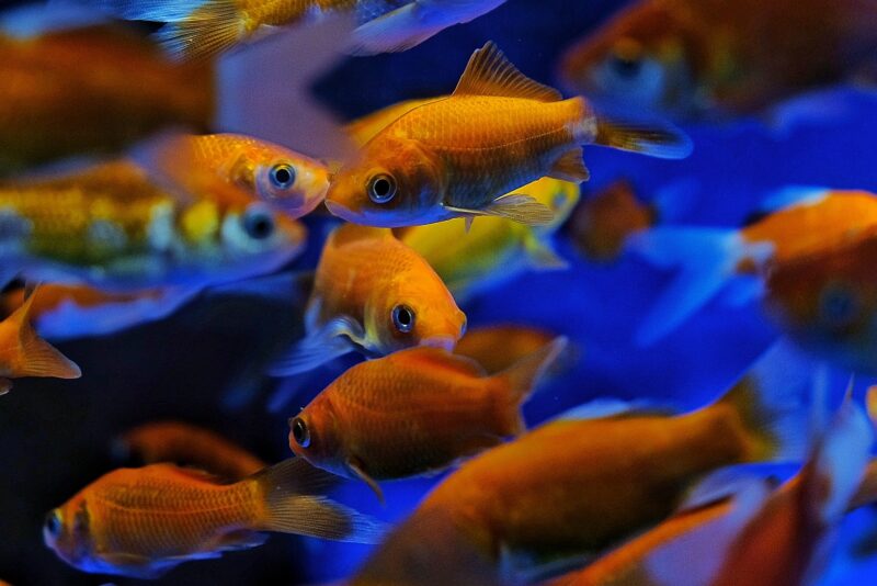 2021_1126_16170500-01-01