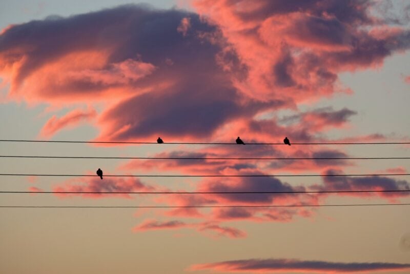 2022_0101_17364500-02