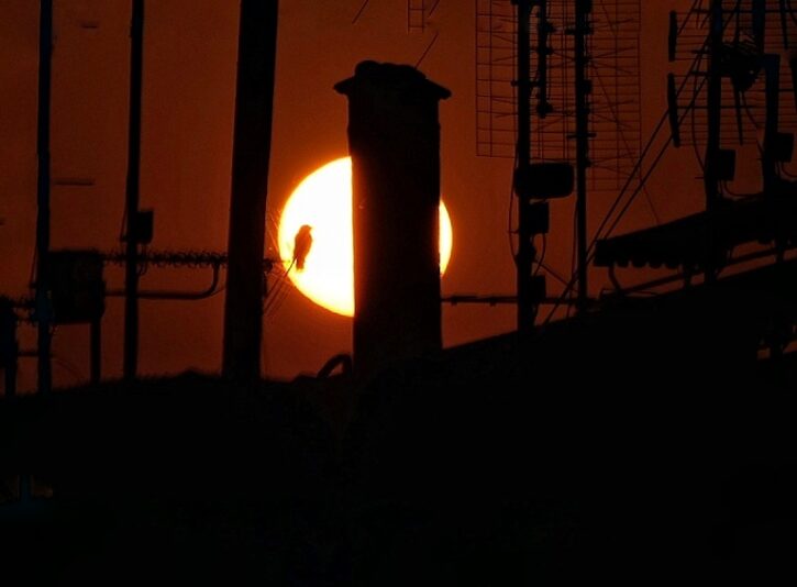 2021_0226_20444300-01-01