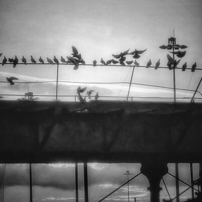 20220206_072745-01-01