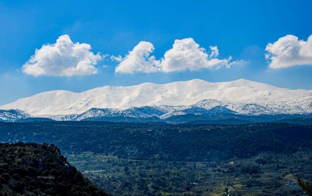 277591616_1973380656167965_4634874483825832751_n