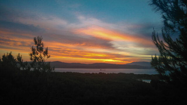 20160628-DSC_0838 - Αντιγραφή