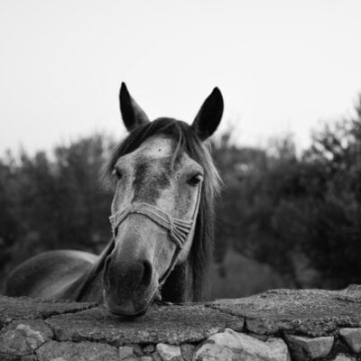 Mixopoulou Aggeliki 01