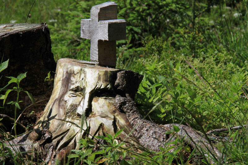 2013-07-15 2013-07-15 001 048