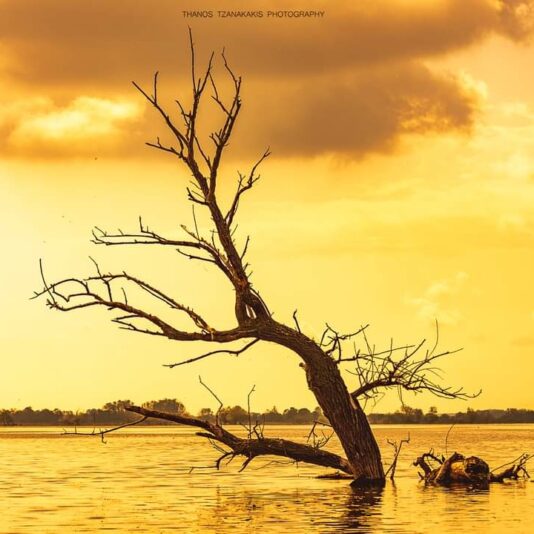 IMG_20230524_232533_953