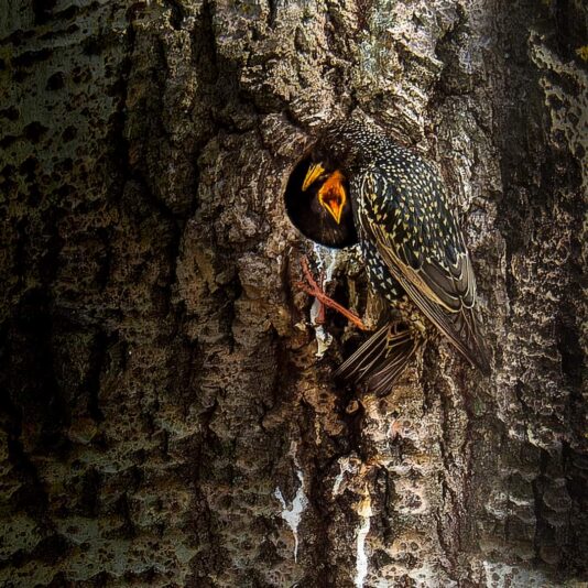 FB_IMG_1684864395957