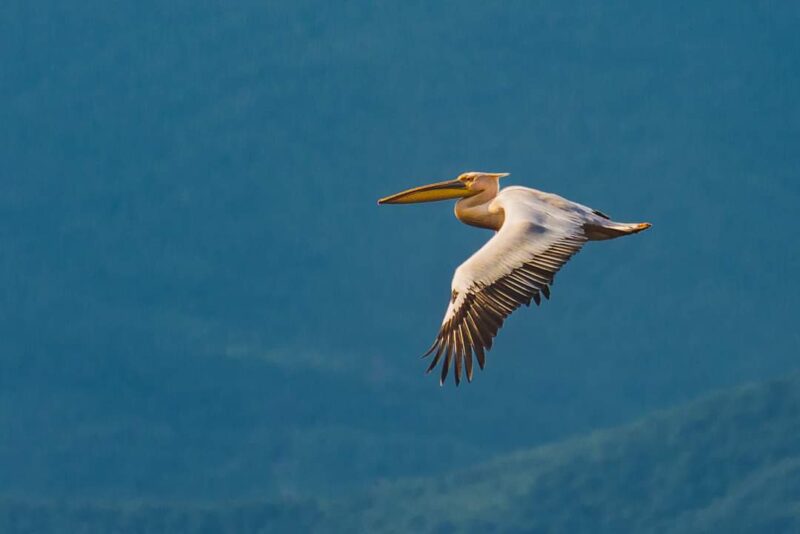 FB_IMG_1684953473111