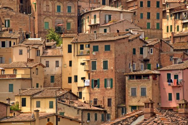 DSC_0294_01 - Αντίγραφο