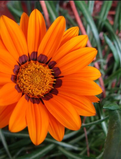 Screenshot_2024-08-28-18-21-48-138_com.fivehundredpx.viewer-edit