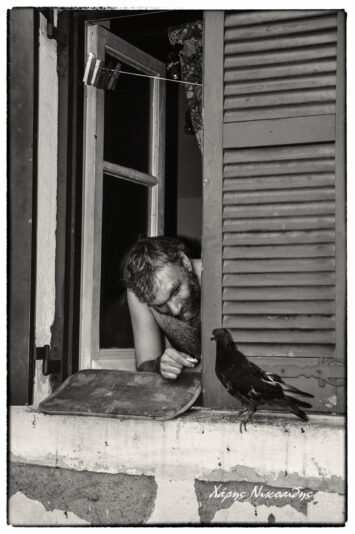 Ταΐζοντας ένα περιστέρι